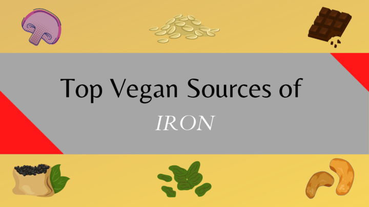 iron rich vegan food sources