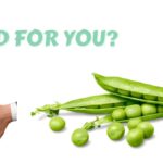 Is soy good for you?