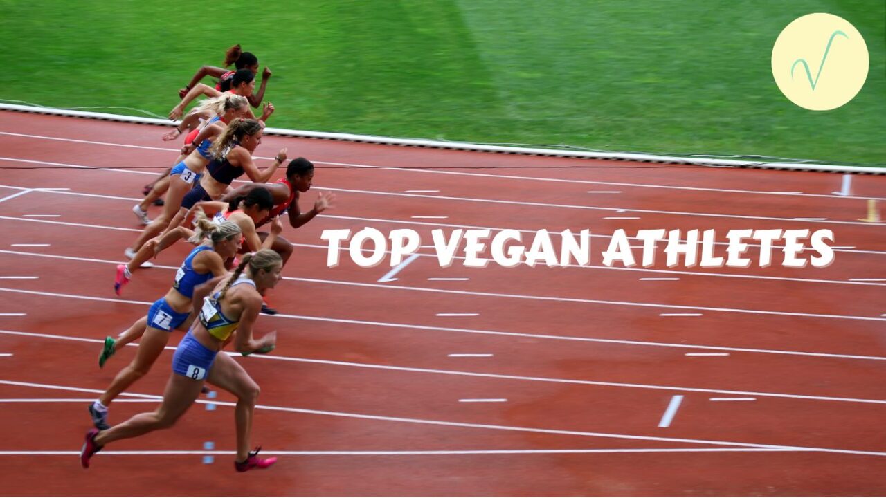 vegan athletes article cover