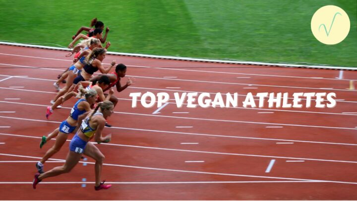 vegan athletes article cover