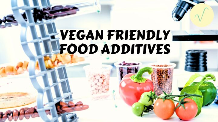 vegan food additives article cover