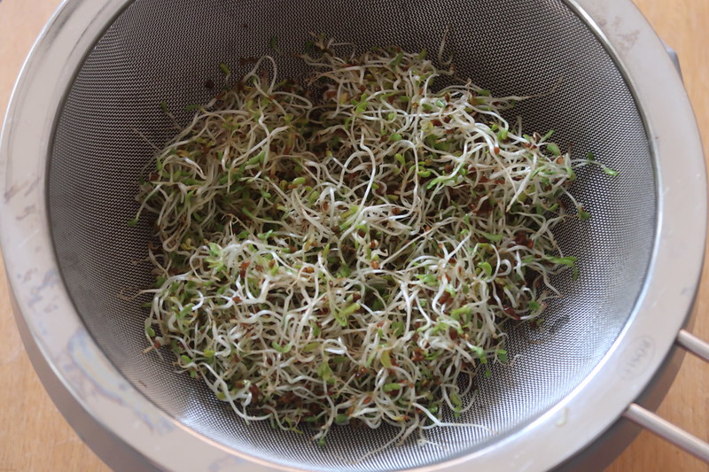 sprouts
