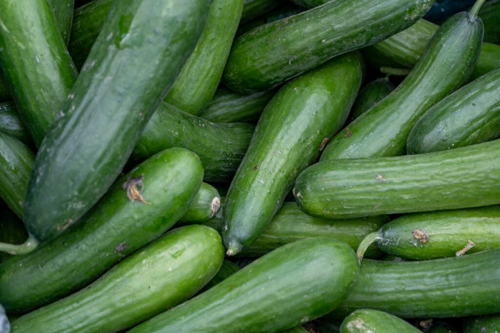 cucumbers
