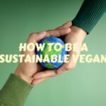 how to be a more sustainable vegan cover