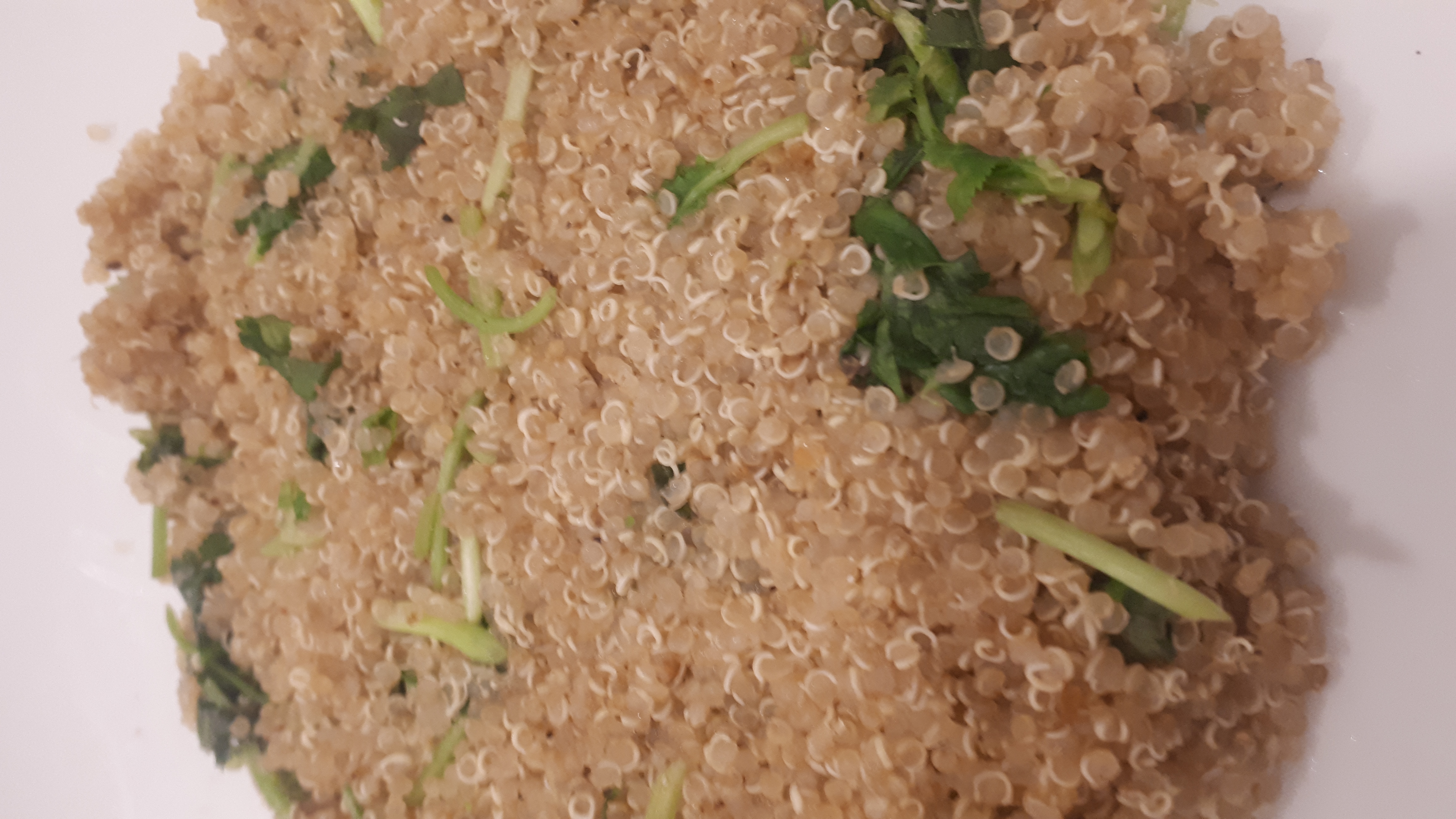 Vegan Cilantro Lime Quinoa Recipe | Parsley Lime Quinoa - Veganising It