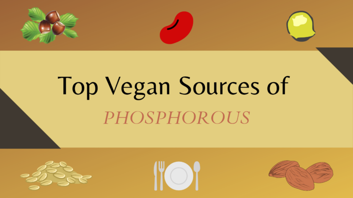 phosphorous rich food sources