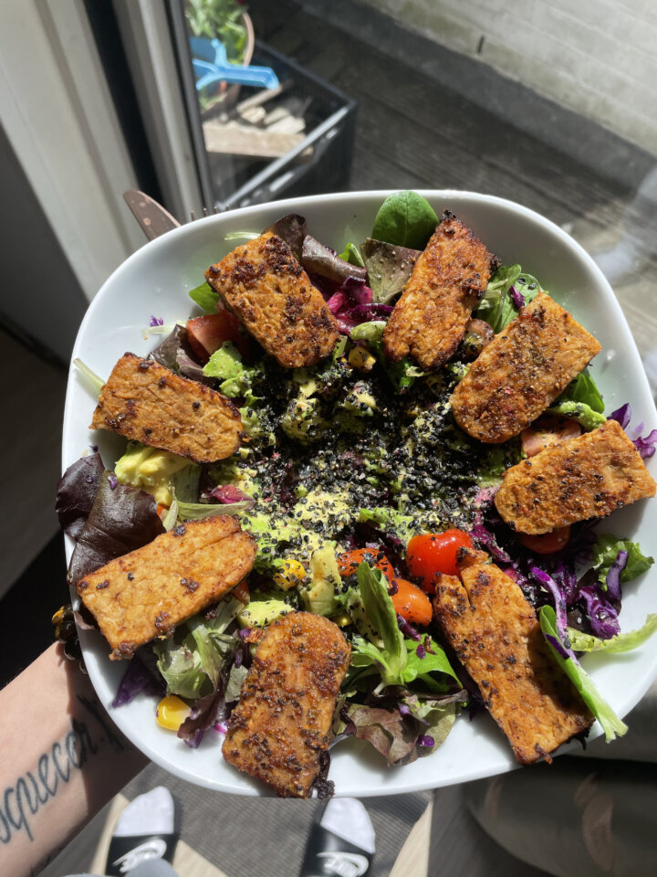 tempeh salad angle out