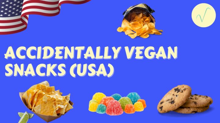 accidentally vegan snacks from the usa