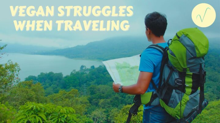 vegan struggles when traveling article cover