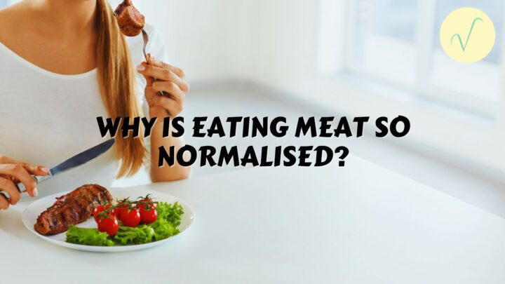 why is eating meat so normalised?
