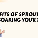benefits of soaking and sprouting beans and legumes