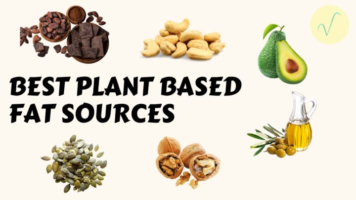 best plant based fat sources