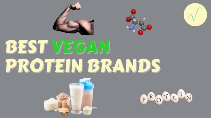 best vegan protein brands