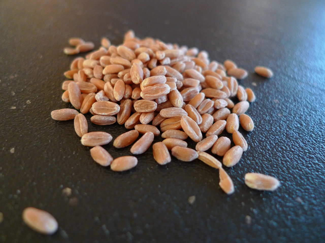 Tasty Grains That Can Easily Substitute Rice - Veganisingit